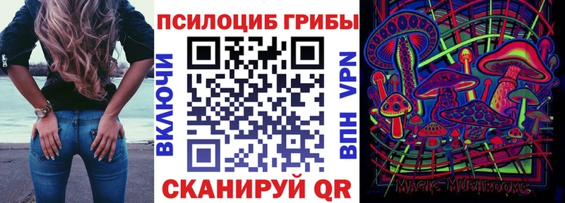 сколько стоит  Сольвычегодск  Псилоцибиновые грибы мухоморы 