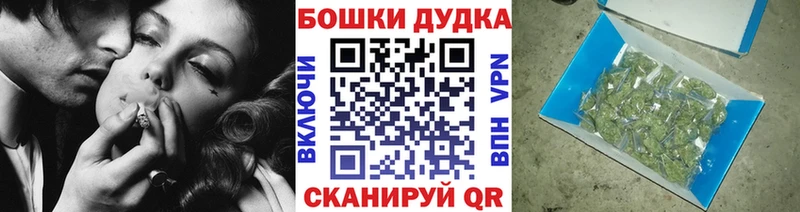 Конопля марихуана  Сольвычегодск 